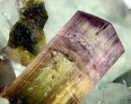 Tourmaline bicolor